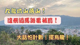 【九龍坑山落山！】違例過馬路要被罰！【一路行一路講】