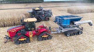 End of HARVEST in France | MF ideal 9T + Versatile delta track 610