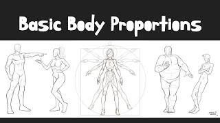 Basic Body Proportions