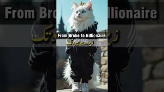 Bella the Cat Exposes Billionaires!  | Steve Jobs, Elon Musk, Jeff Bezos|shorts|fyp|4k