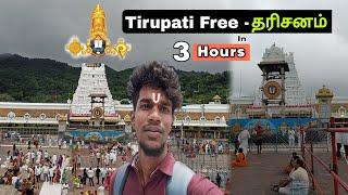 Tirupati Free தரிசனம் in 3 Hours | Tirumala Free Dharshan Full Details | 2024