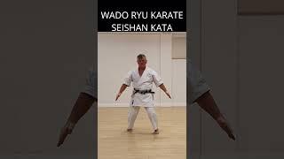 Seishan Kata #wadoryu  #martialarts #karate #shorts