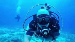 SCUBA Diving in Key Largo!