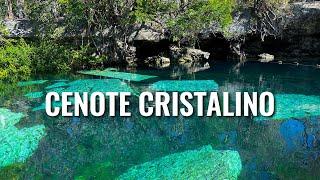 Cenote Cristalino MEXICO [4K]