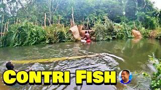 RAIN SEASON CONTRI FISH CATCH -  Episode 11 - Farming In Sierra Leone