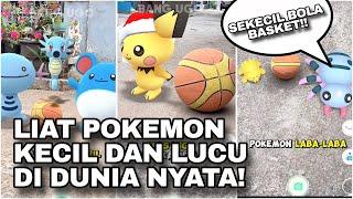 POKEMON KECIL SEGEDE BOLA BASKET!!