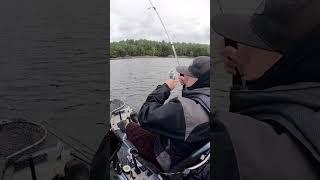 Smallmouth Bass Fishing / The Damiki Rig #bassfishing #kayakbassfishing  #smallmouthbassfishing