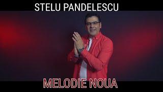 Stelu Pandelescu - Copiii mei (Official Video)