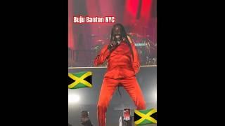 GargamelBuju Banton #nyc #bujubanton #dancehall #reggae #rasta #jamaica #jamaican