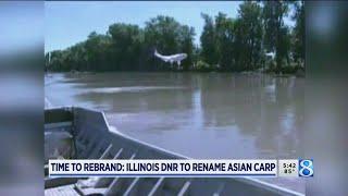 Time to rebrand: Illinois DNR to rename Asian carp