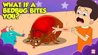 What if a Bed Bug Bites You? | Bed Bugs How to Get Rid of Them | Blood Sucking Insect | Dr. Binocs