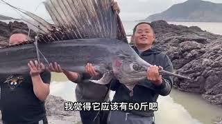 【阿向趕海】3h純享版 阿向海釣趕海，好貨不斷，太爽啦