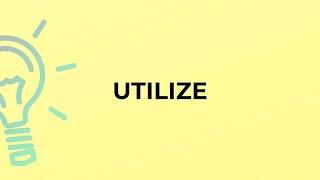 What is the meaning of the word UTILIZE?