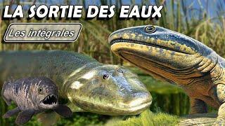 Aux origines des amphibiens : La sortie des eaux - Intégrale  - paléontologie - Simplex Paléo