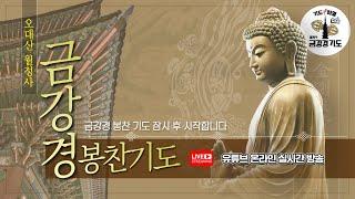 금강경 봉찬 저녁 온라인 기도 | 2025 을사년 6월 22일 일요일 저녁 6:30~8:00
