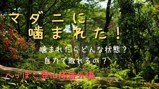 へっぽこ登山隊番外編　低山（大阪府　若山）でマダニに噛まれました