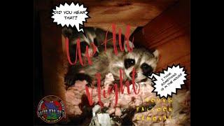 1.6 Raccoon Kit Removal - Wildlife Command Center (We Can Catch It)