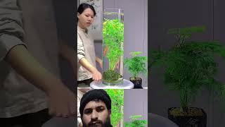 Fishing class jug #aquarium #plants #fish #ytshorts #shortsfeed #youtubeshorts #aquascape #music