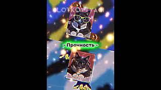 Завуч #vs Геннадий Петрович @kotiynet #shorts #hype #cat #кот