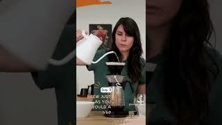 Hario Fretta V60 Brew Guide