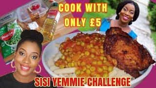 CAN £5 FEED A FAMILY OF 3 IN THE UK? #COOKWITH1500 #SISIYEMMIETV #GRACEYSWORLD