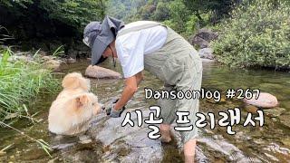 SUB 단순로그267 도시 직장인들은 모르는 시골 프리랜서 일상 vlog