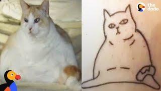 Funny Cat Drawings Inspire Cat Tattoos That Capture The True Essence of Cats | The Dodo