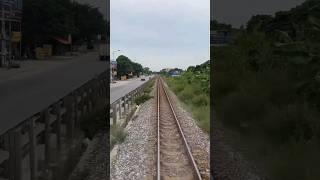 [풍경] 베트남 기찻길과 나무들 ️