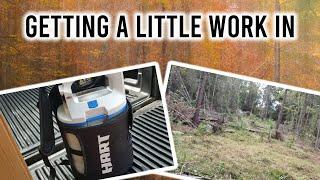 We Bought Land....Now What? Ep. 3 - Spraying/Killing Weeds - Hart Sprayer