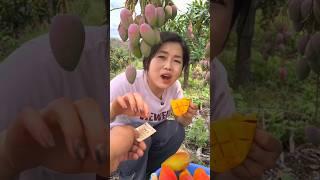 Amazing delicious mango fruit farming fruits rural farmer | Sweet Mango  #shorts #mango