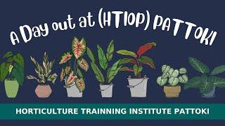 Visit to HORTICULTURE TRAINING INSTITUTE Pattoki || Mr. Abrar Hussain