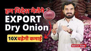 Export Dry Onion | अब विदेश भेजेगे प्याज | How to export indian agriculture product | export import