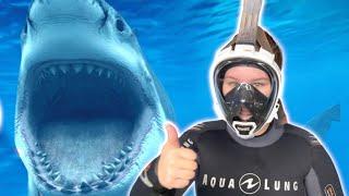 Ruby and Bonnie Dive with Sharks and other useful stories for kids | Compilation video