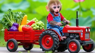 Monkey Nana drives a tractor carrying a pump and materials to build a canal - NANA MONKEY LIFE