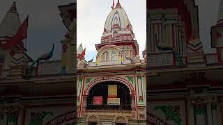 Daksh prajapati Mahadev #shiv #haridwar #shorts #trending #bholenath