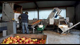 Cider Making Machinery In Netherlands | Client's Review Of Equipment | ProFruit Machinery