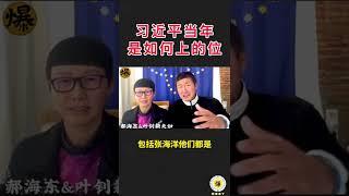 【郝海东】习近平当年是如何上的位？薄熙来从来都没想过自己会被搞掉。#郭文贵 #郝海东 #爆料革命 #新中国联邦 #中共