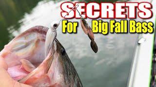 Spinnerbait SECRETS For Finicky Fall Bass