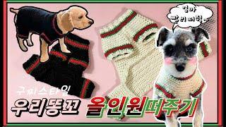 (코바늘)강아지 GUCCI 올인원스웨터 만들기/How to make a dog all-in-one sweater/dog gucci sweater