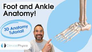 Foot and Ankle Anatomy 101 | Expert Physio guides you through 3D Anatomy of Foot and Ankle!