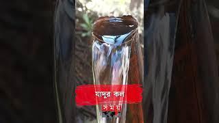 ২৪ ঘণ্টা অনবরত পড়ছে যাদুর কলের পানি!  #sherpur #autotap #shorts #somoytv