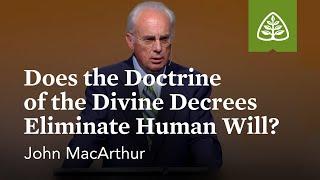 John MacArthur: Does the Doctrine of the Divine Decrees Eliminate Human Will?