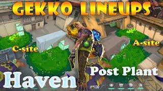 Top 15 Haven Gekko Post Plant Lineups | Gekko Lineups Haven | Gekko Mosh Pit (Molly) Haven