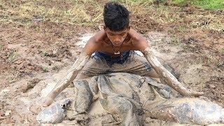 Find Catfish in Secret Hole Dry By Smart Boy -Boy Fishing By Mud In The Dry Season