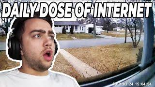 Mizkif REACTS TO DAILY DOSE OF INTERNET