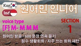 원어민 인니어 / Type [F] M- M M M [Section 1] 원어민 발음 / 짧고 쉬운 600문장 연속 듣기