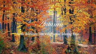 Autumn Scenic Relaxation Film with Peaceful Relaxing Music