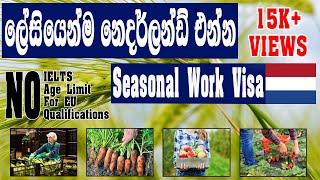 නෙදර්ලන්ඩ් ඵන්න හොඳම චාන්ස් ඵකක් |  Netherlands Work Visa | No IELTS | Only for non-EU