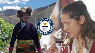 Highest Altitude Vineyard Makes Incredibly Unique Wine - Guinness World Records