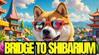 Bridge to Shiba Inu's Layer 2 Shibarium : Hoichi X Roaring Kitty